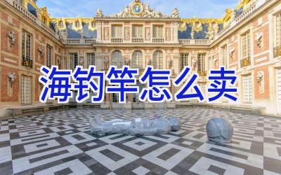 海钓竿怎么卖插图 海钓竿怎么卖插图