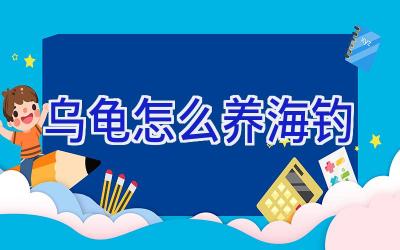 乌龟怎么养海钓插图