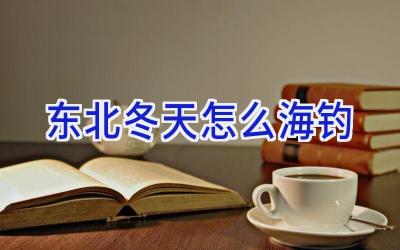 东北冬天怎么海钓插图