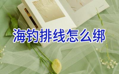 海钓排线怎么绑插图