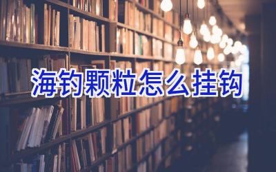 海钓颗粒怎么挂钩插图