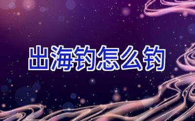 出海钓怎么钓插图