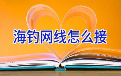 海钓网线怎么接插图