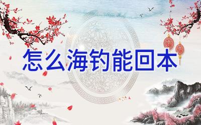 怎么海钓能回本插图