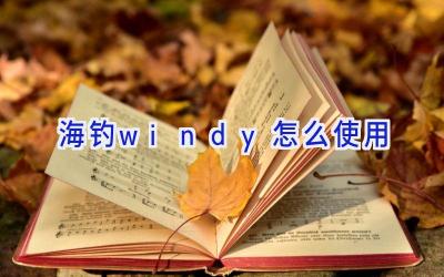 海钓windy怎么使用插图