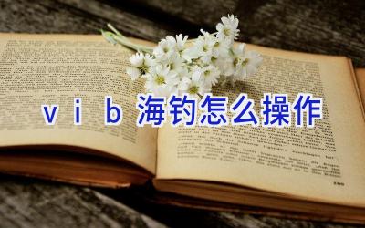 vib海钓怎么操作插图