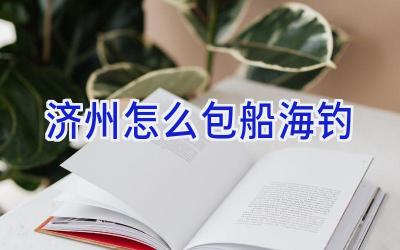 济州怎么包船海钓插图