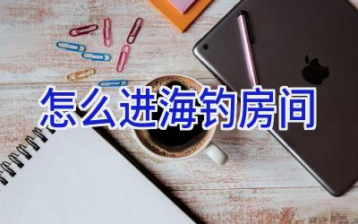 怎么进海钓房间插图