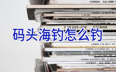 码头海钓怎么钓插图