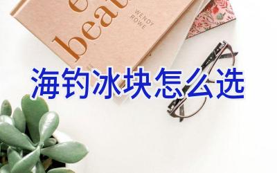 海钓冰块怎么选插图