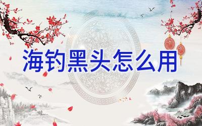 海钓黑头怎么用插图