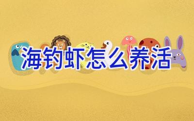 海钓虾怎么养活插图