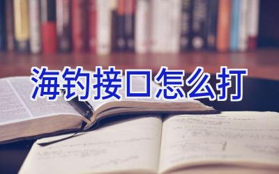 海钓接口怎么打插图