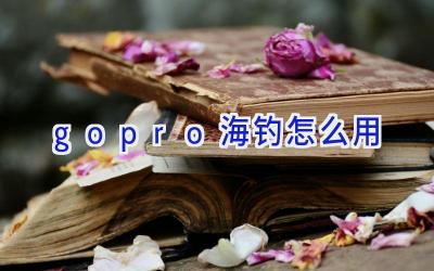 gopro海钓怎么用插图