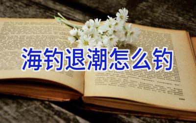海钓退潮怎么钓插图
