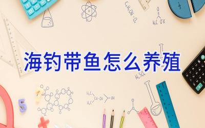 海钓带鱼怎么养殖插图