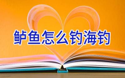 鲈鱼怎么钓 海钓插图