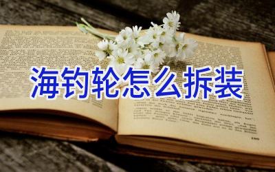 海钓轮怎么拆装插图