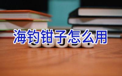 海钓钳子怎么用插图