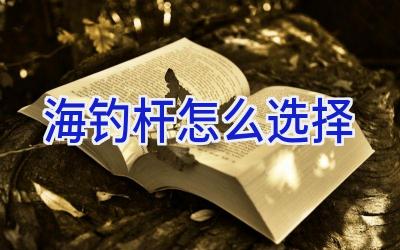海钓杆怎么选择插图