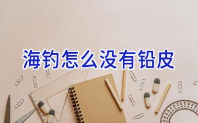 海钓怎么没有铅皮插图