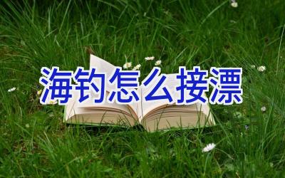 海钓怎么接漂插图