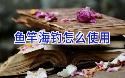 鱼竿海钓怎么使用插图