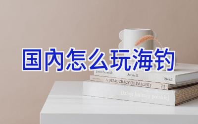 国内怎么玩海钓插图