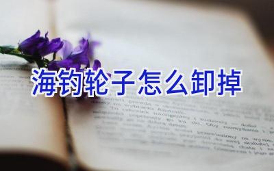 海钓轮子怎么卸掉插图 海钓轮子怎么卸掉插图