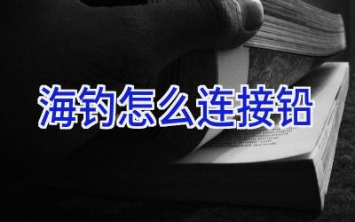 海钓怎么连接铅插图