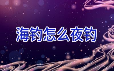 海钓怎么夜钓插图