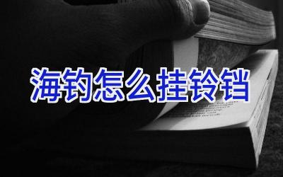海钓怎么挂铃铛插图 海钓怎么挂铃铛插图